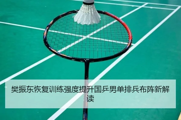 樊振东恢复训练强度提升国乒男单排兵布阵新解读